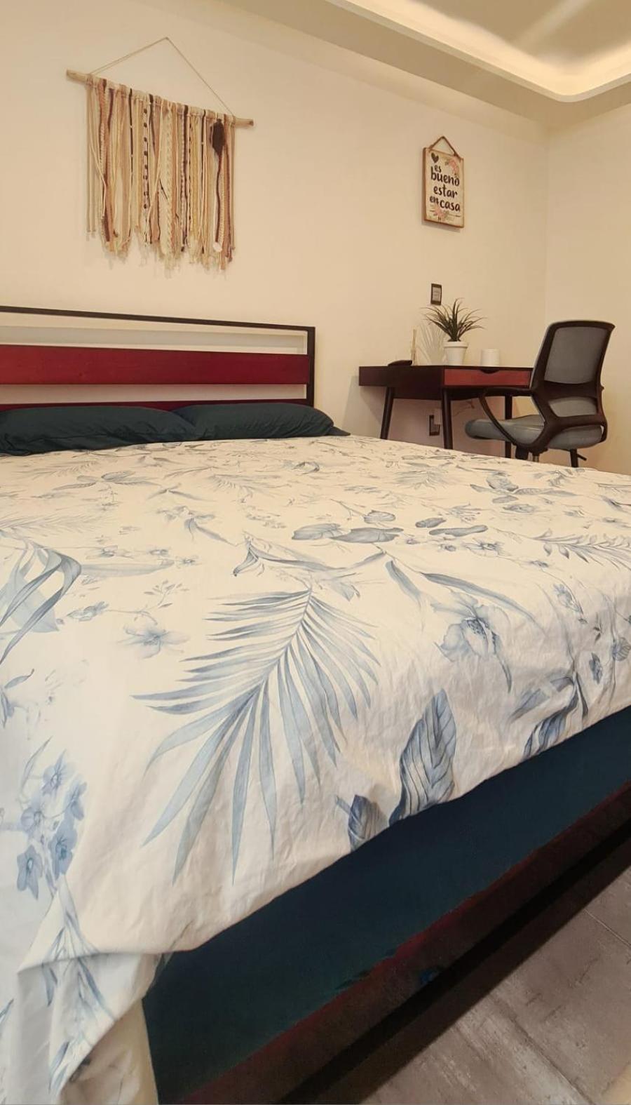Апартаменти Calida Casa Pet Friendly, Cdmx Мехіко Екстер'єр фото
